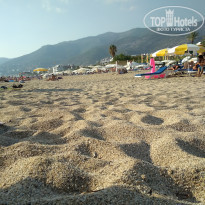 фото из отзыва ID 1905748