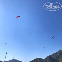 фото из отзыва ID 1905890