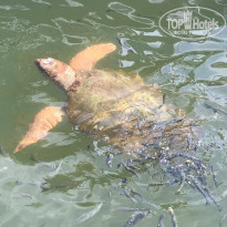 фото из отзыва ID 1905890