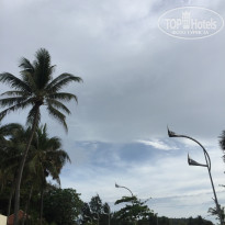 фото из отзыва ID 1906119