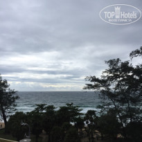 фото из отзыва ID 1906119