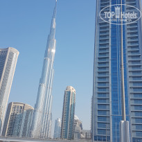 фото из отзыва ID 1906123