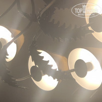 фото из отзыва ID 1906127