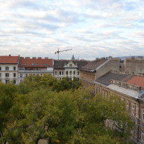 фото из отзыва ID 1906185