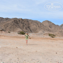 фото из отзыва ID 1905596