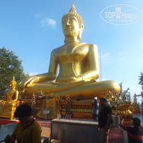 фото из отзыва ID 1906181