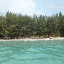 фото из отзыва ID 1906181