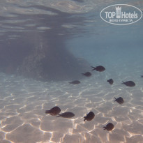 фото из отзыва ID 1906306