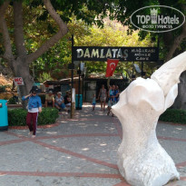 фото из отзыва ID 1906379