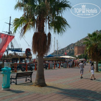 фото из отзыва ID 1906379