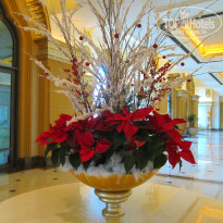 фото из отзыва ID 1906214