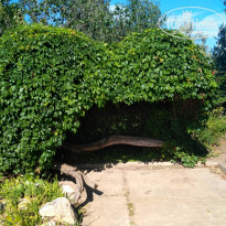 фото из отзыва ID 1906432