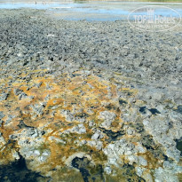 фото из отзыва ID 1906432