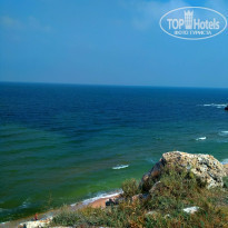 фото из отзыва ID 1906432