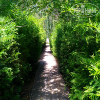 фото из отзыва ID 1906432