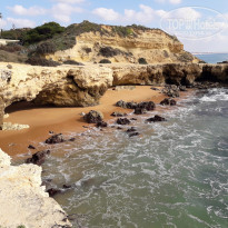 фото из отзыва ID 1906454