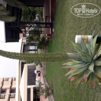 фото из отзыва ID 1906454