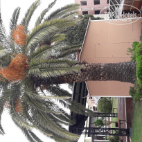 фото из отзыва ID 1906454