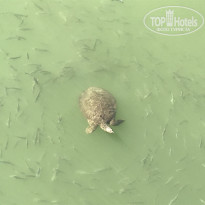 фото из отзыва ID 1905993