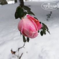 фото из отзыва ID 1906500