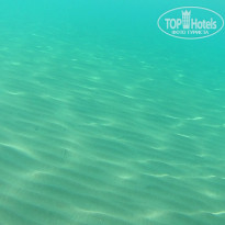 фото из отзыва ID 1906611