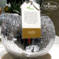 фото из отзыва ID 1906481