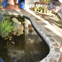 фото из отзыва ID 1906438