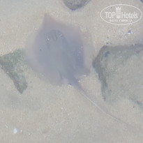 фото из отзыва ID 1906723