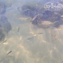 фото из отзыва ID 1906723