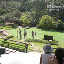 фото из отзыва ID 1906723