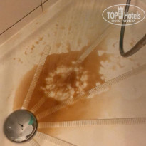 фото из отзыва ID 1906931