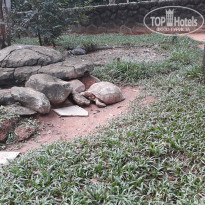 фото из отзыва ID 1906723