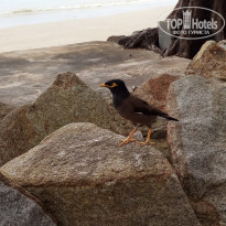 фото из отзыва ID 1906926