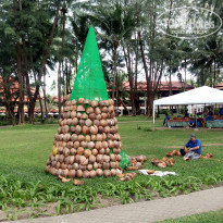 фото из отзыва ID 1906926