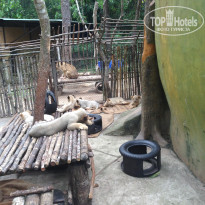 фото из отзыва ID 1906723