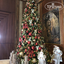 фото из отзыва ID 1906972