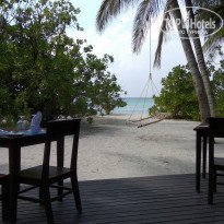 фото из отзыва ID 1906965