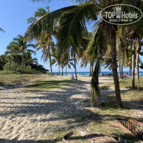 фото из отзыва ID 1906964