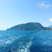 фото из отзыва ID 1906989