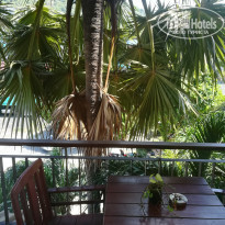 фото из отзыва ID 1906993