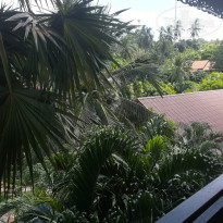 фото из отзыва ID 1906993