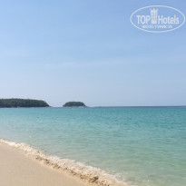 фото из отзыва ID 1906993