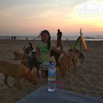 фото из отзыва ID 1907052