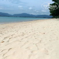 фото из отзыва ID 1907096