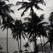 фото из отзыва ID 1907124