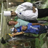 фото из отзыва ID 1907118