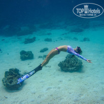 фото из отзыва ID 1907122