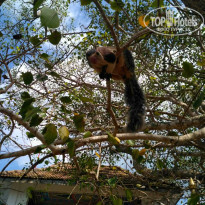 фото из отзыва ID 1907154