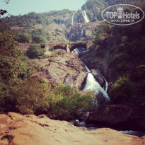 фото из отзыва ID 1907113