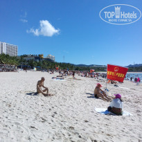 фото из отзыва ID 1907247